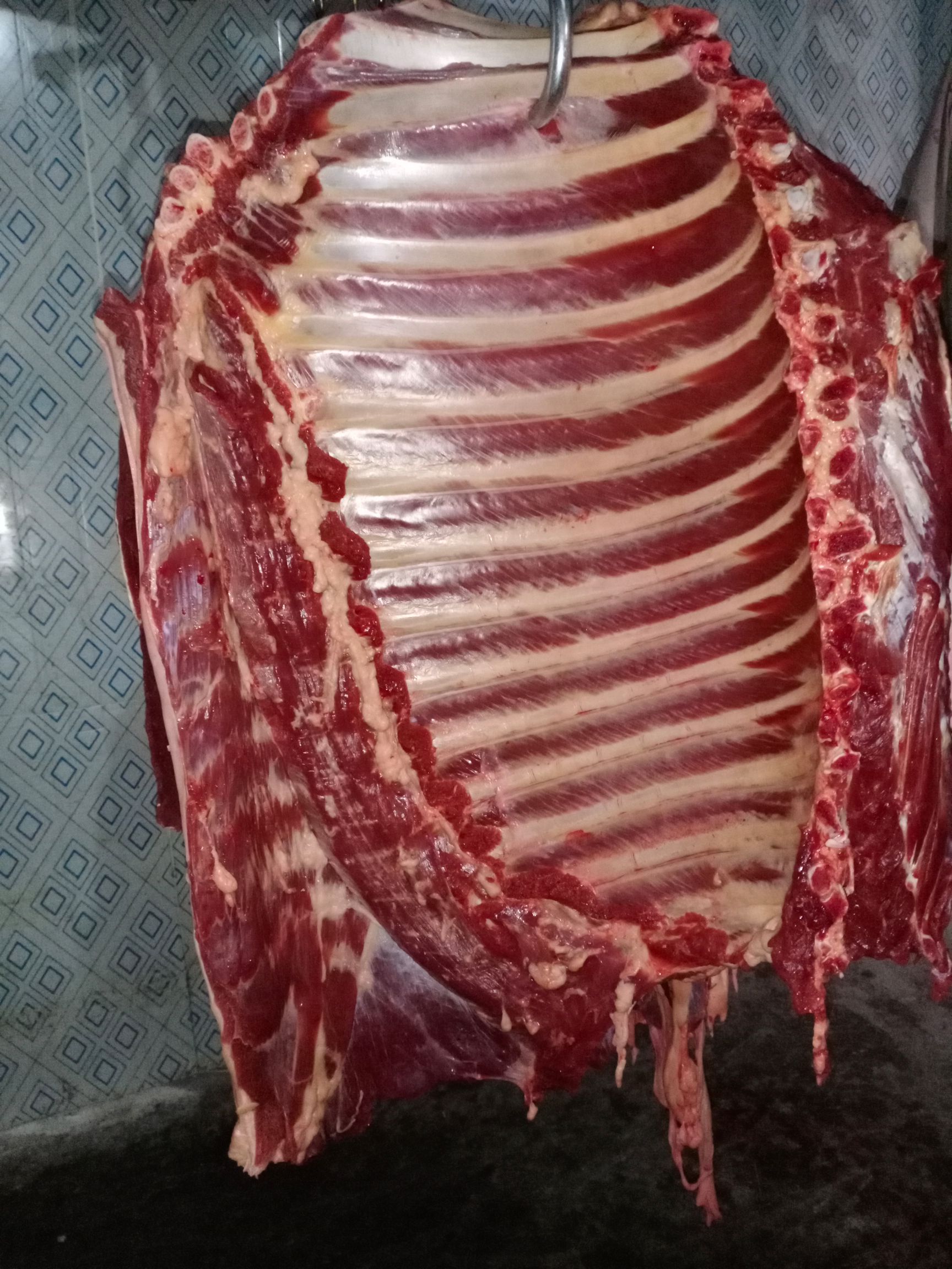 驴肉  带骨驴肋排肉，马肋排肉，新鲜肉大量供应，简易安全，真空包装