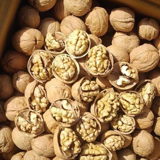 乌鲁木齐同行老板和电商，最喜欢的185纸皮核桃