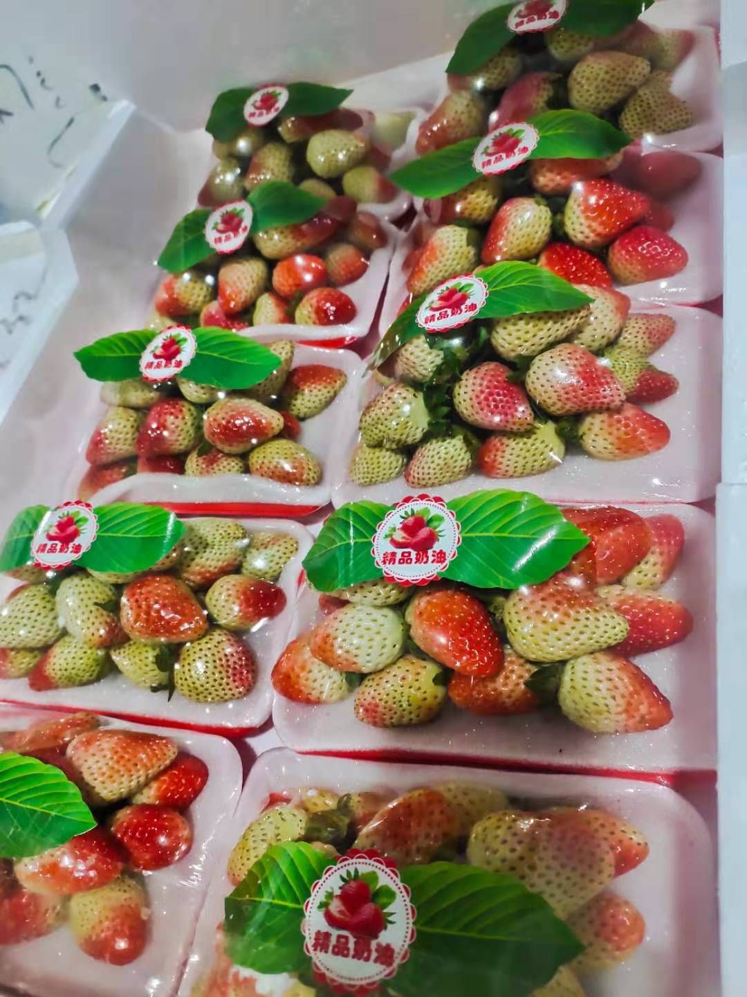 蒙特瑞草莓,果皮薄,耐运输.口感好,质量优良