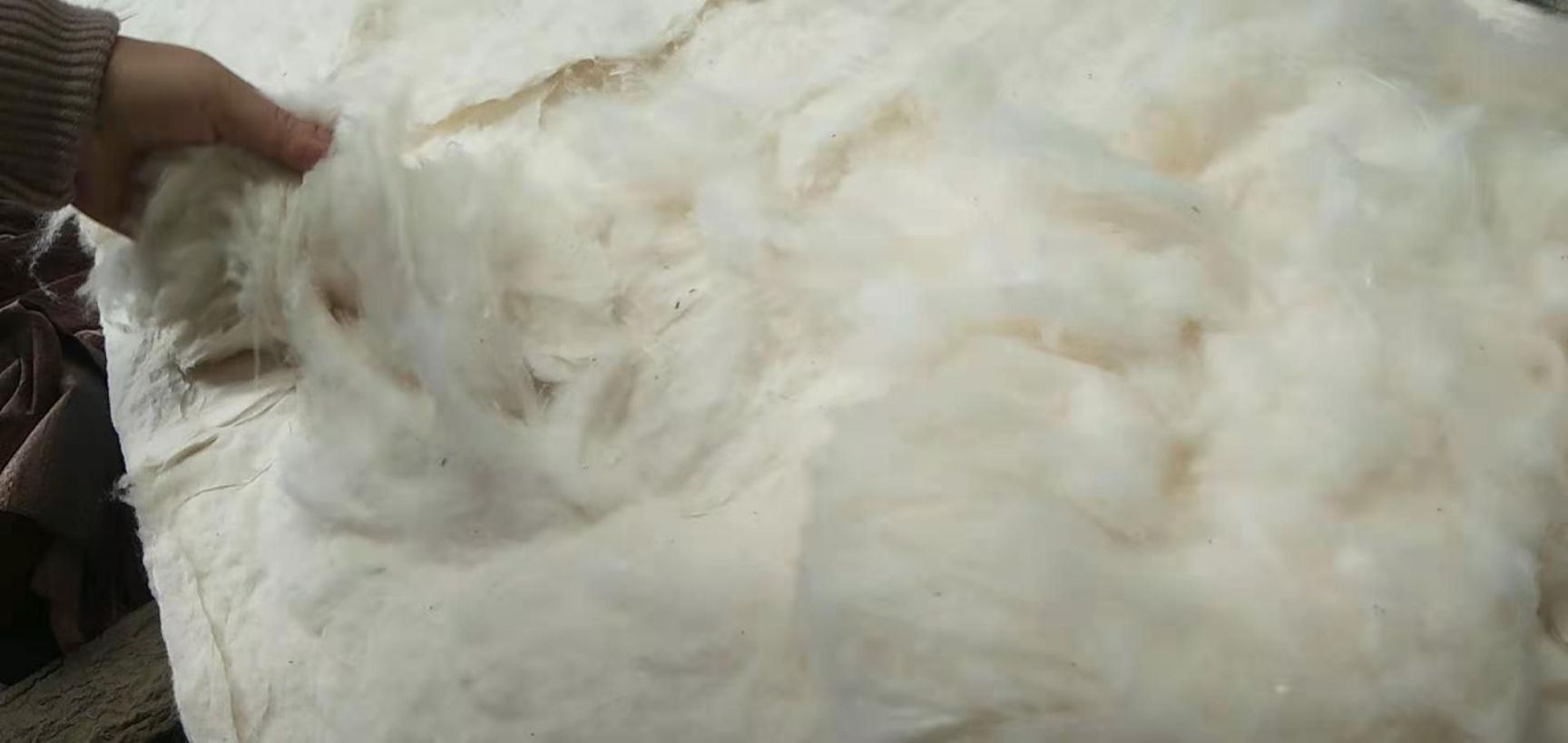 棉花（皮棉）（精梳棉）棉被