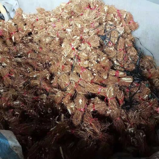 清远清远地区山货五指毛桃，香味浓郁，量大从优