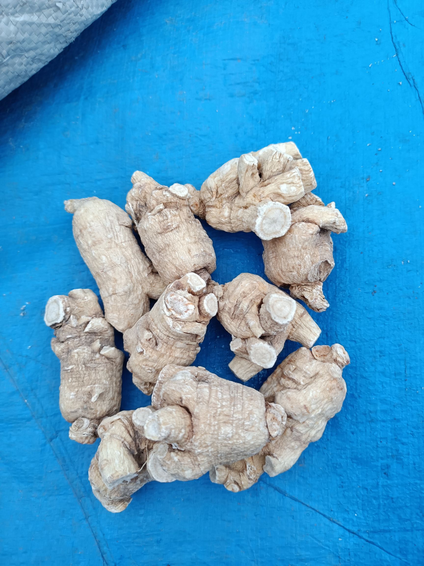 长白山土特产人参西洋参 西洋参片软枝粒头参500克包邮