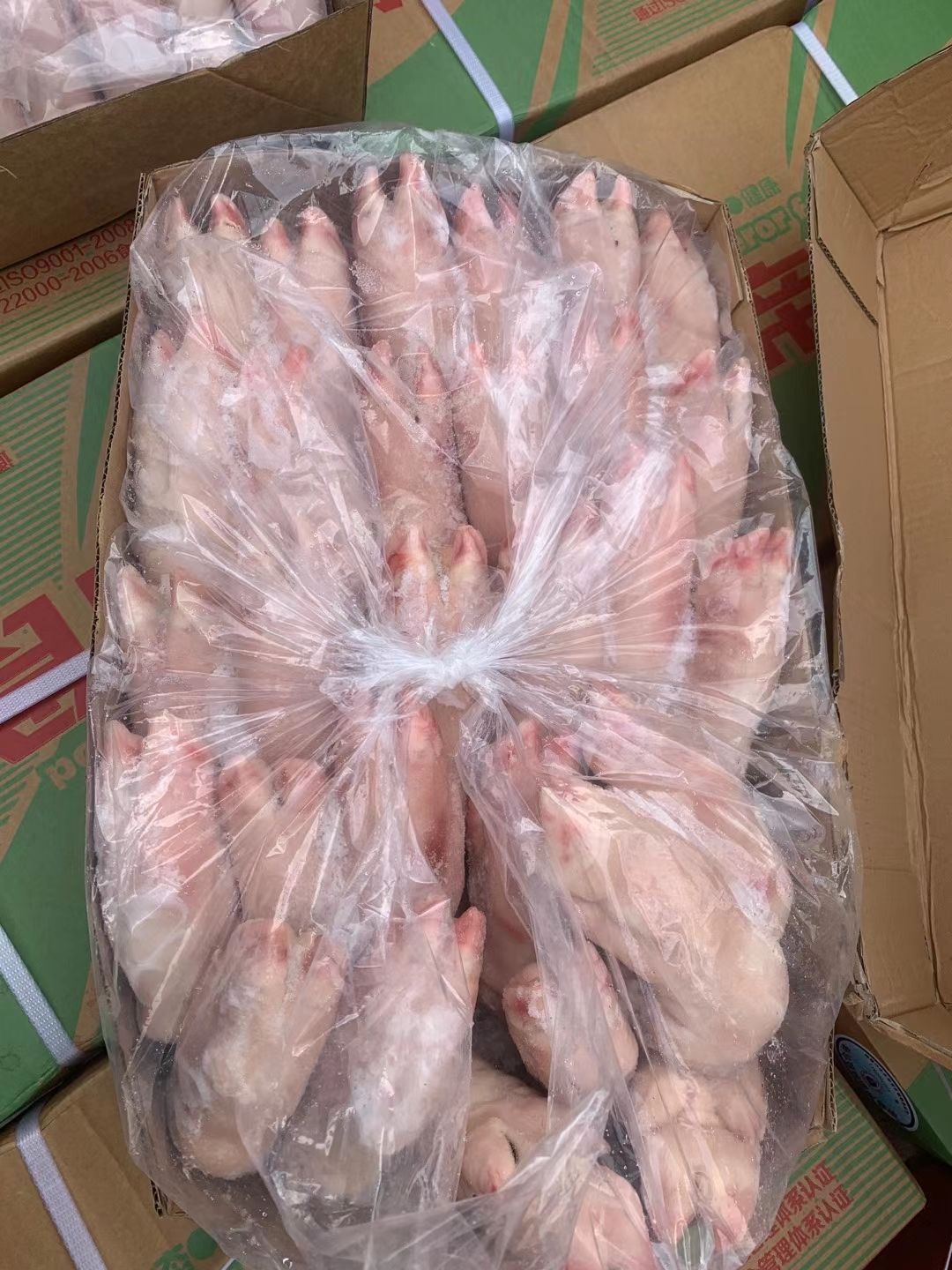 小猪蹄国产猪蹄猪蹄块2830左右带筋猪蹄去筋猪蹄一级带筋猪手