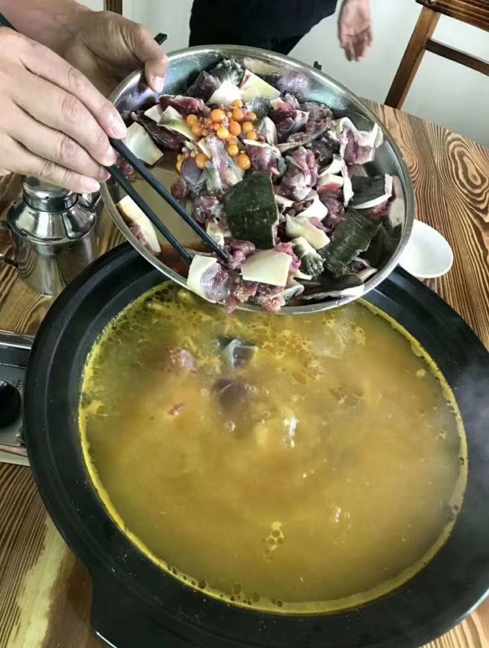  甲鱼