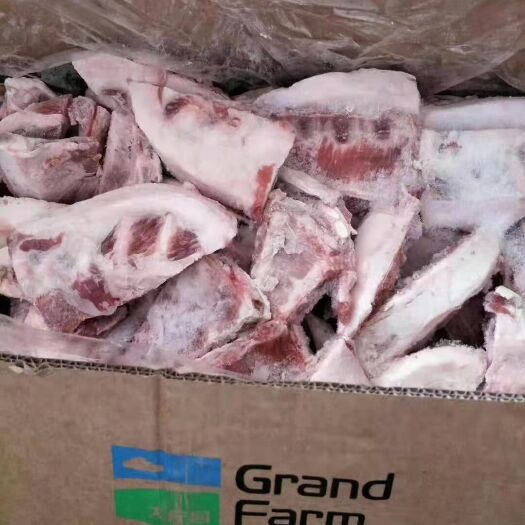 阳信县羊骨 羊角排，羊胸骨羔羊排带肉骨头