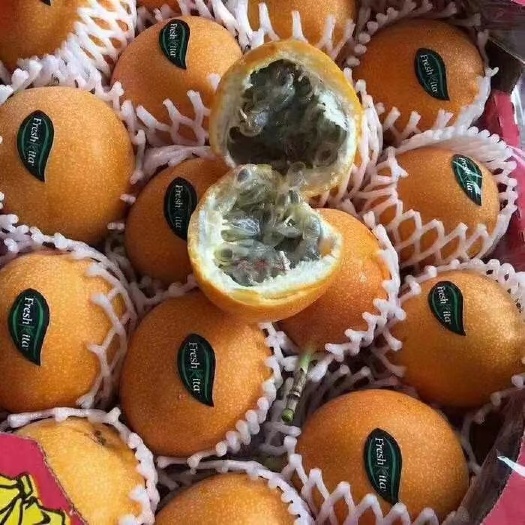 灵山县果树盆景  哥伦比亚百香果 。果肉香甜多汁多味