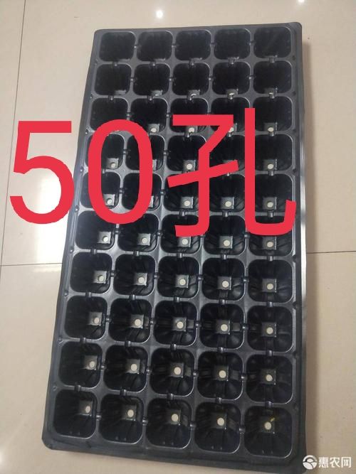 穴盘/育苗盘  优质育苗盘厂家直多种规格各种厚度防晒抗老化
