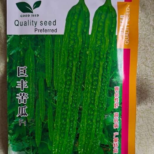 （精品）苦瓜苗 味微苦 具有去内热等作用