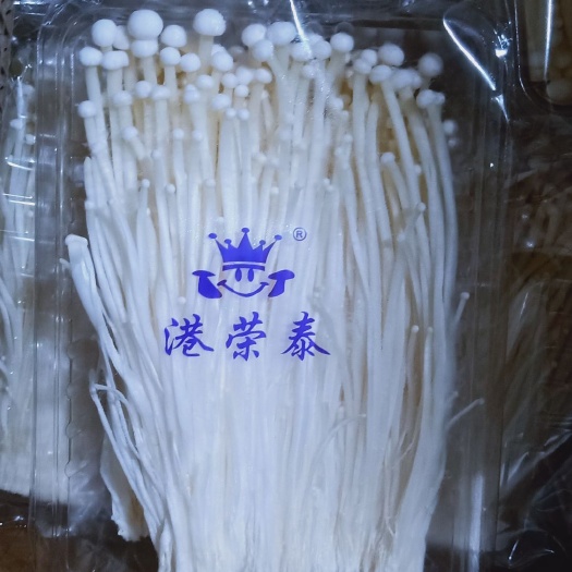 漳州白金针菇 金针菇