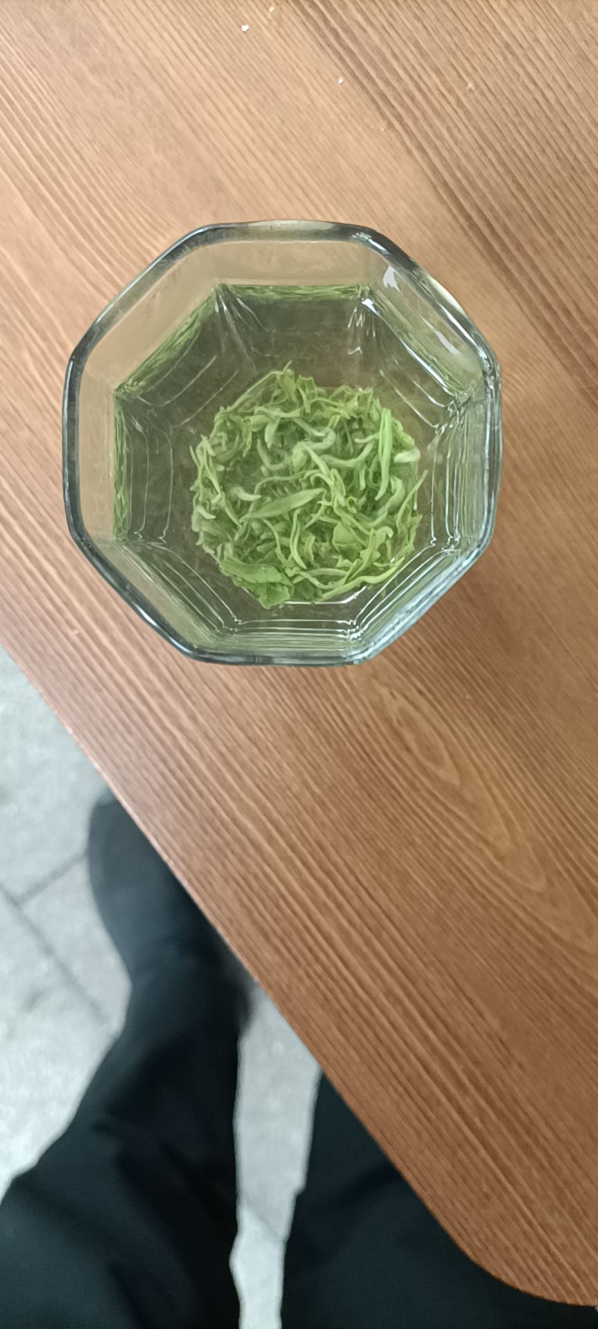 2025新茶上贵州都匀毛尖绿茶  清香味充足