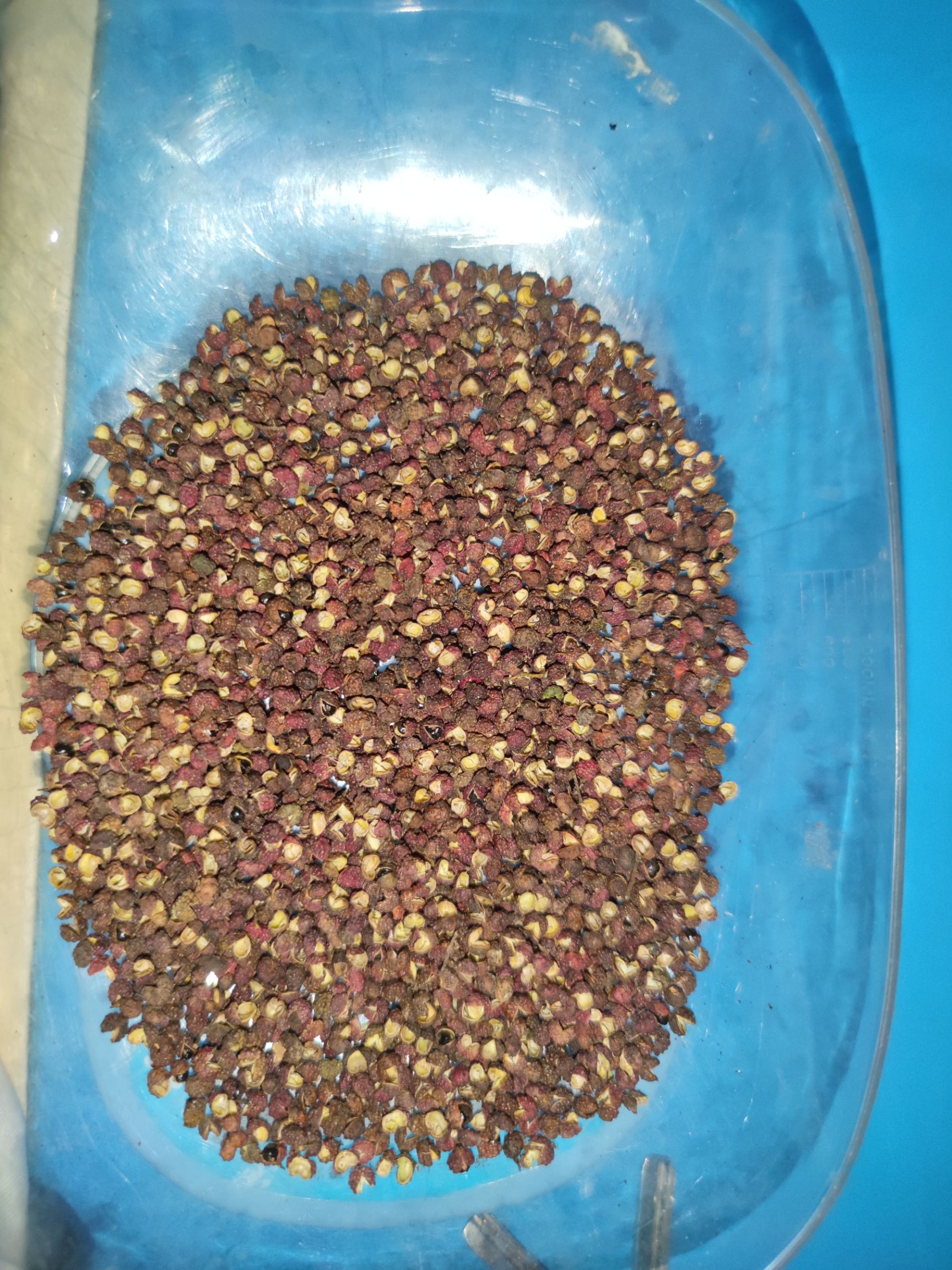 红花椒  四川金阳花椒，青花椒，转红椒常年供应，可批发，可零