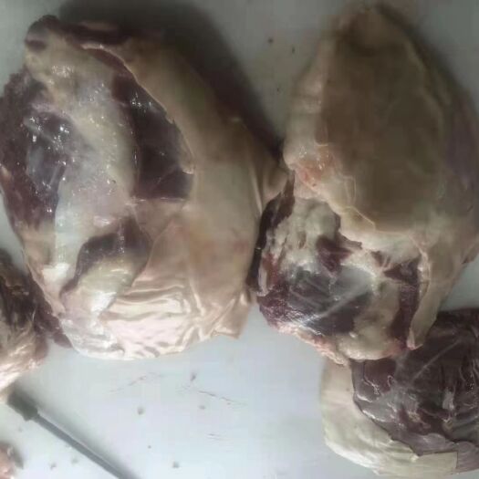 河间市 带皮羊排大量现货可长期供货