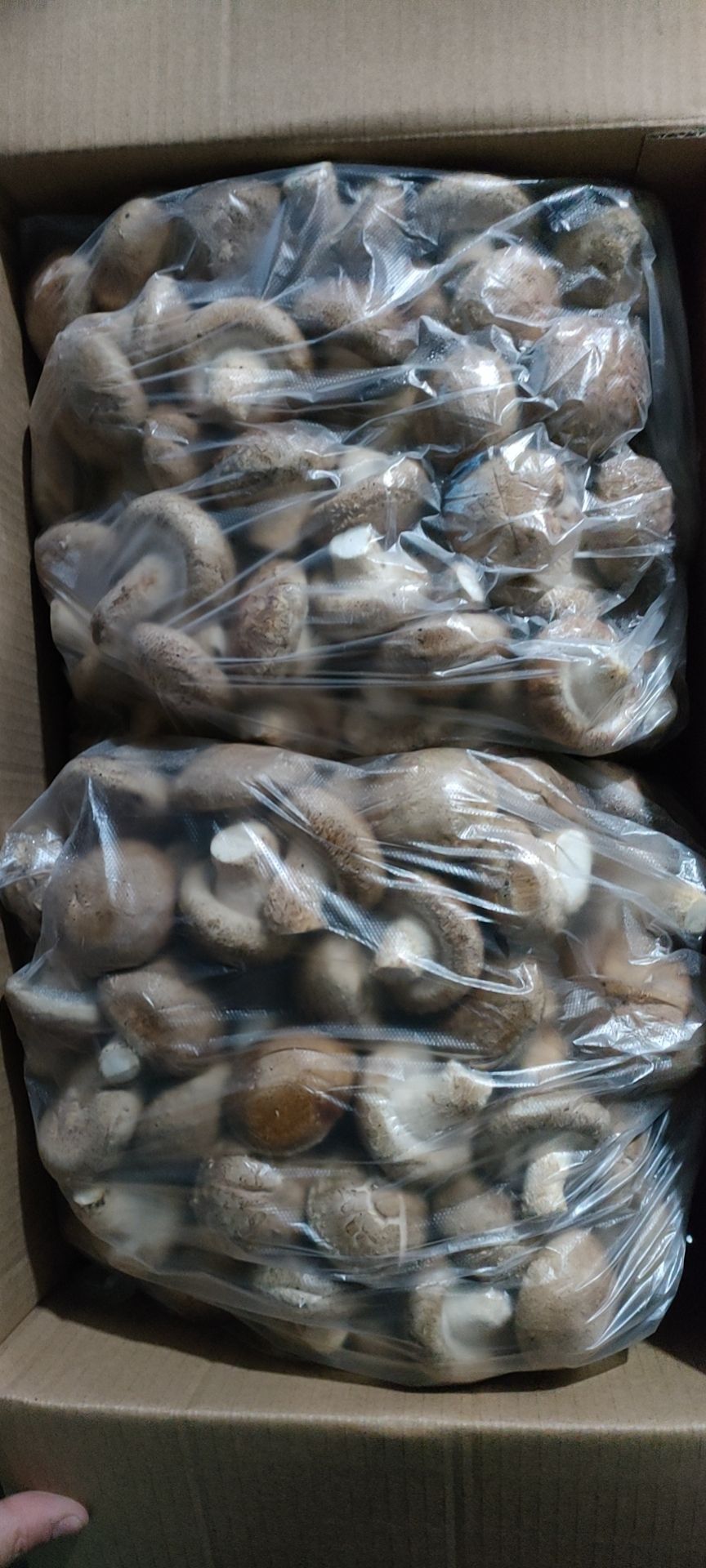 香菇808  808 ，中港，便宜的，都有！