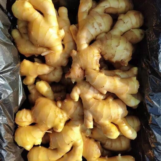 沂水县山东大姜大量供应，货源充足，产地直销