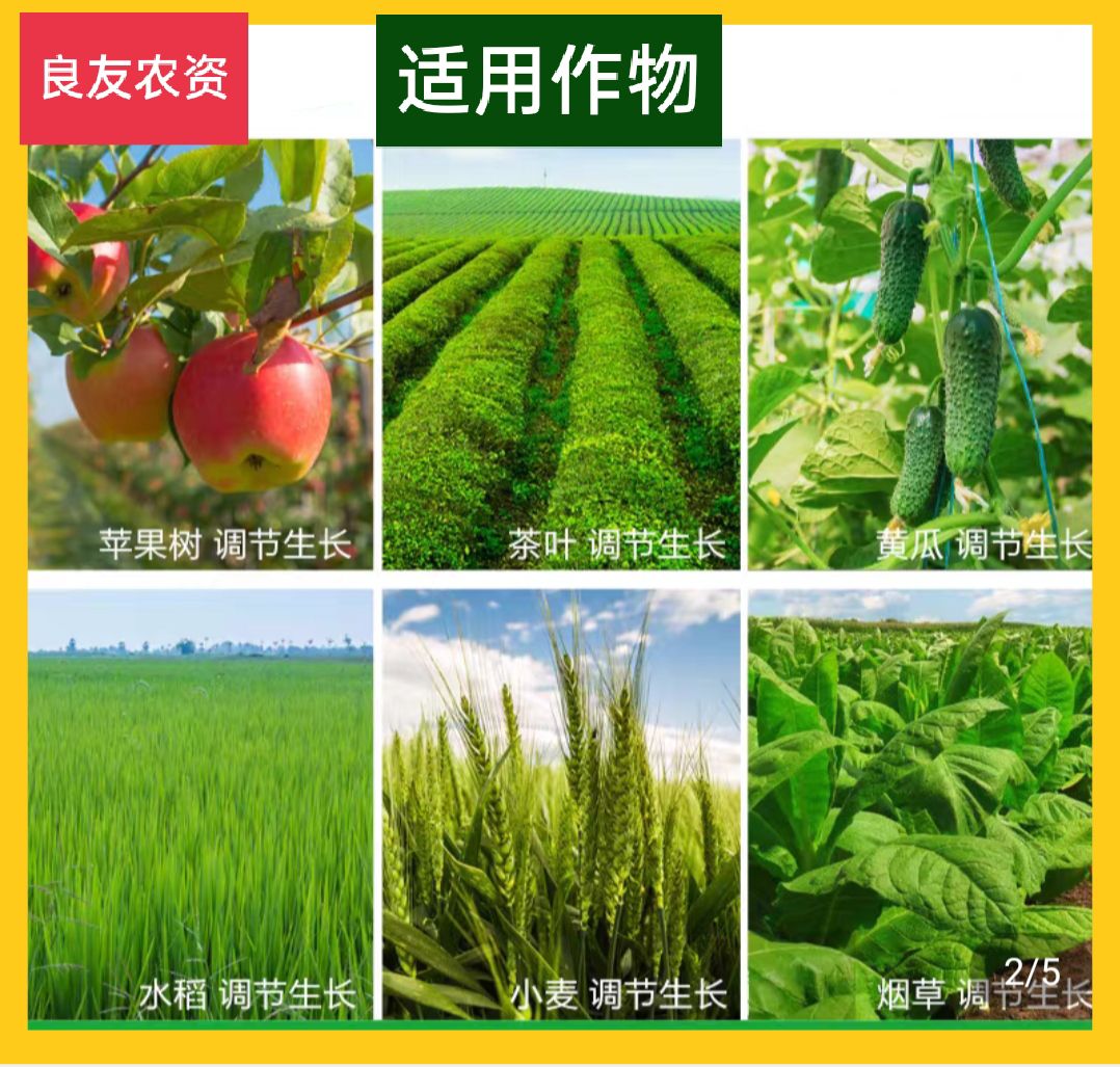德国植物生长调节剂“碧护”