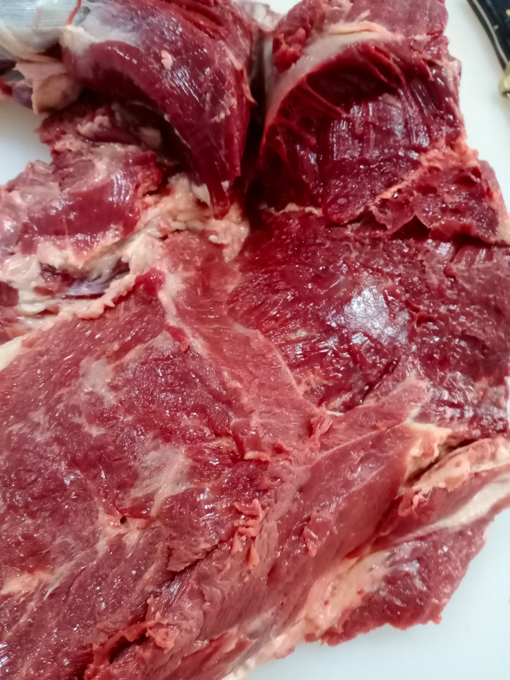 去皮去骨新鲜马肉，牧场产地，检验合格，健康美味