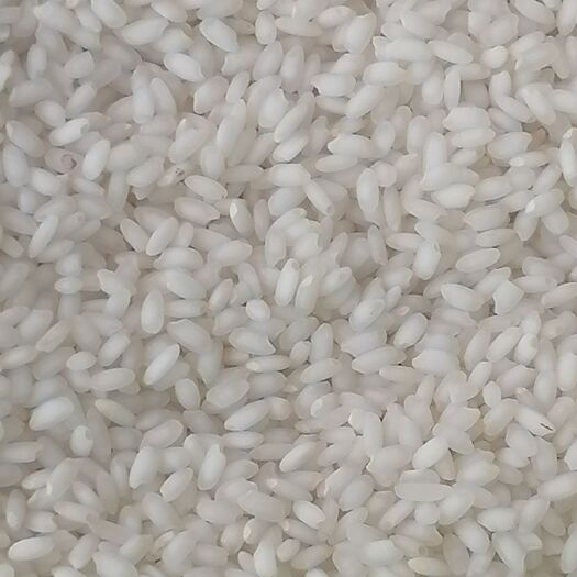 瑞丽市贡米  没油水的大米低糖大米缅甸波山米