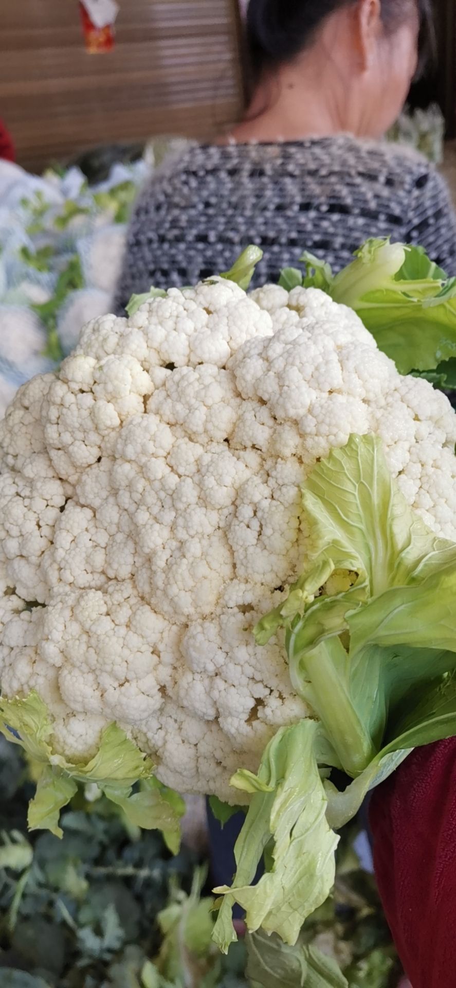 白花菜花 越冬有机花质量好，货多价格低有需要的联系。