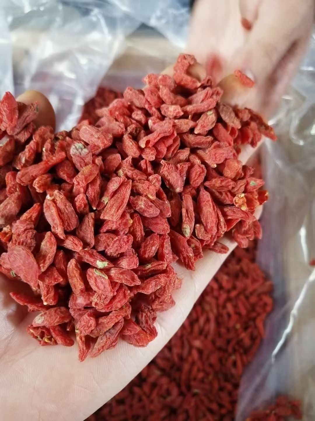 宁夏中宁枸杞油货枸杞散装40斤跑江湖地摊食品免洗大粒红枸杞