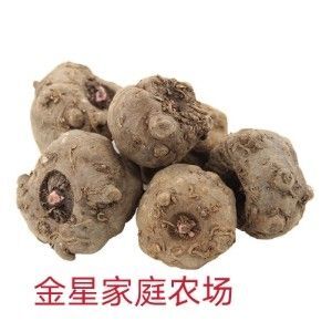 富源县魔芋种子一代二代，提供种植技术，全国包邮