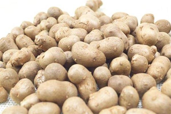 宁阳县山药豆山东产1.2厘以上已过筛质量优质需要的顾客联系