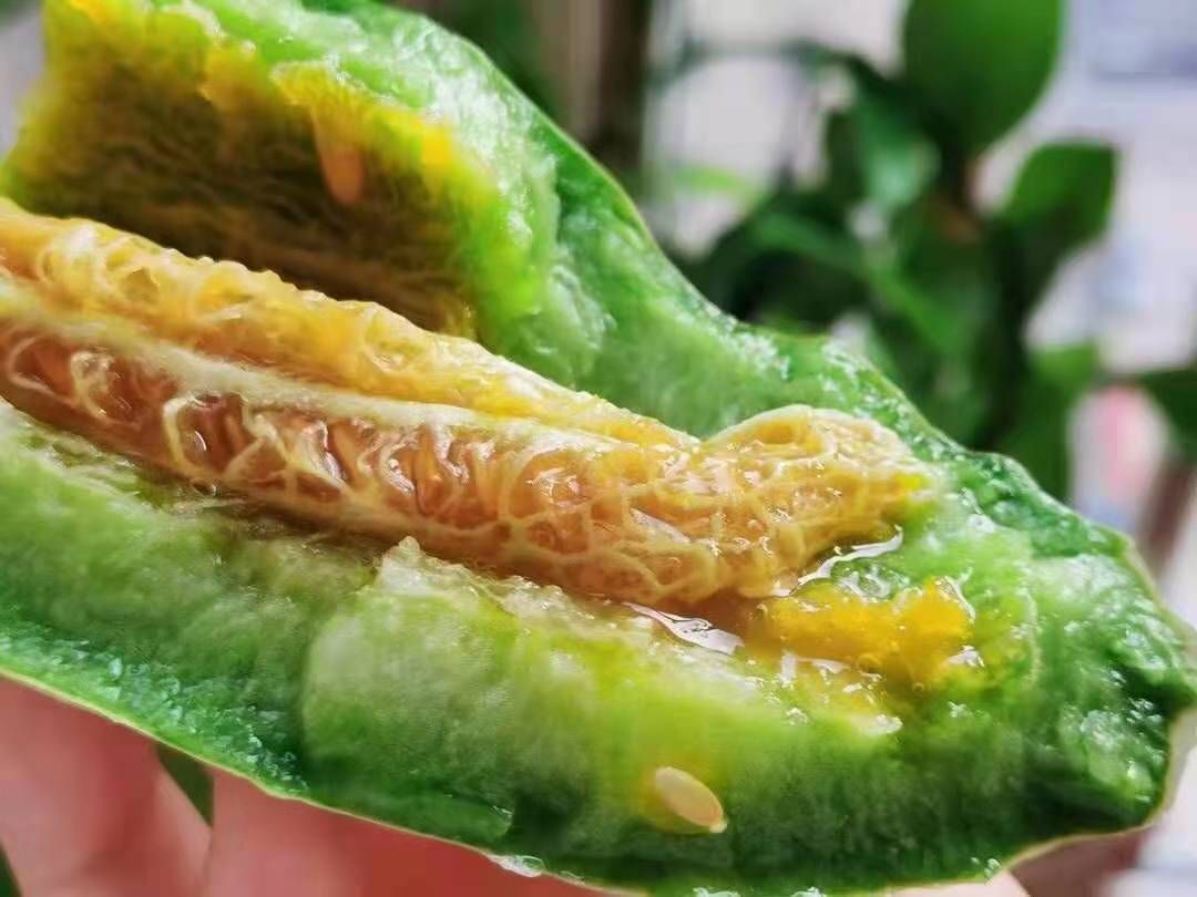 山东羊角蜜甜瓜整车，落地配，一件代发