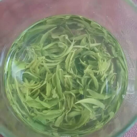 都匀市2025新茶上贵州都匀毛尖绿茶  清香味充足