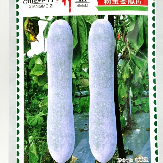武汉湘妹子粉宝冬瓜种子杂交分批冬瓜籽长柱型着粉均匀单果重20公