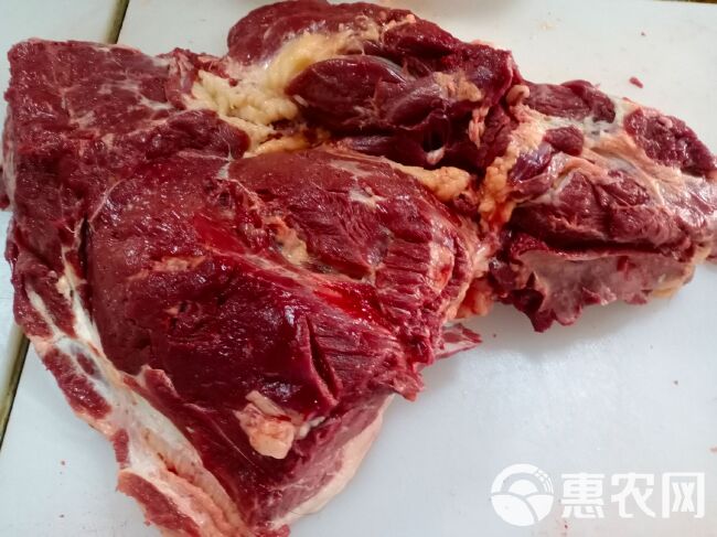 去皮去骨新鲜马肉，牧场产地，检验合格，健康美味