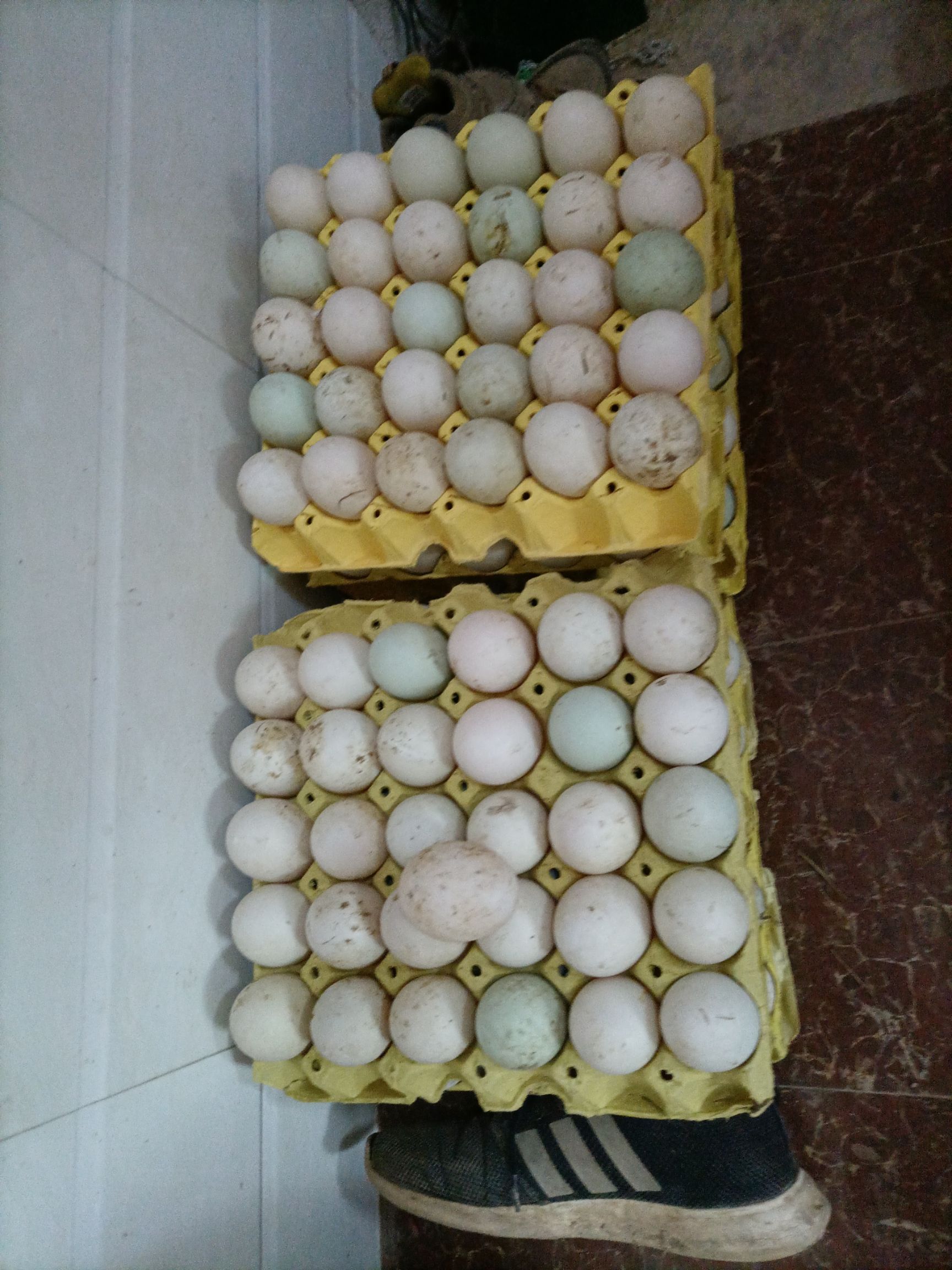 土鸭蛋  每天现捡   以五谷杂粮喂养加放养，食用孵化均可