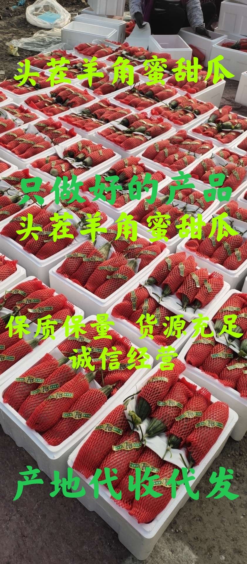 羊角蜜甜瓜大量供应中货源充足价格便宜