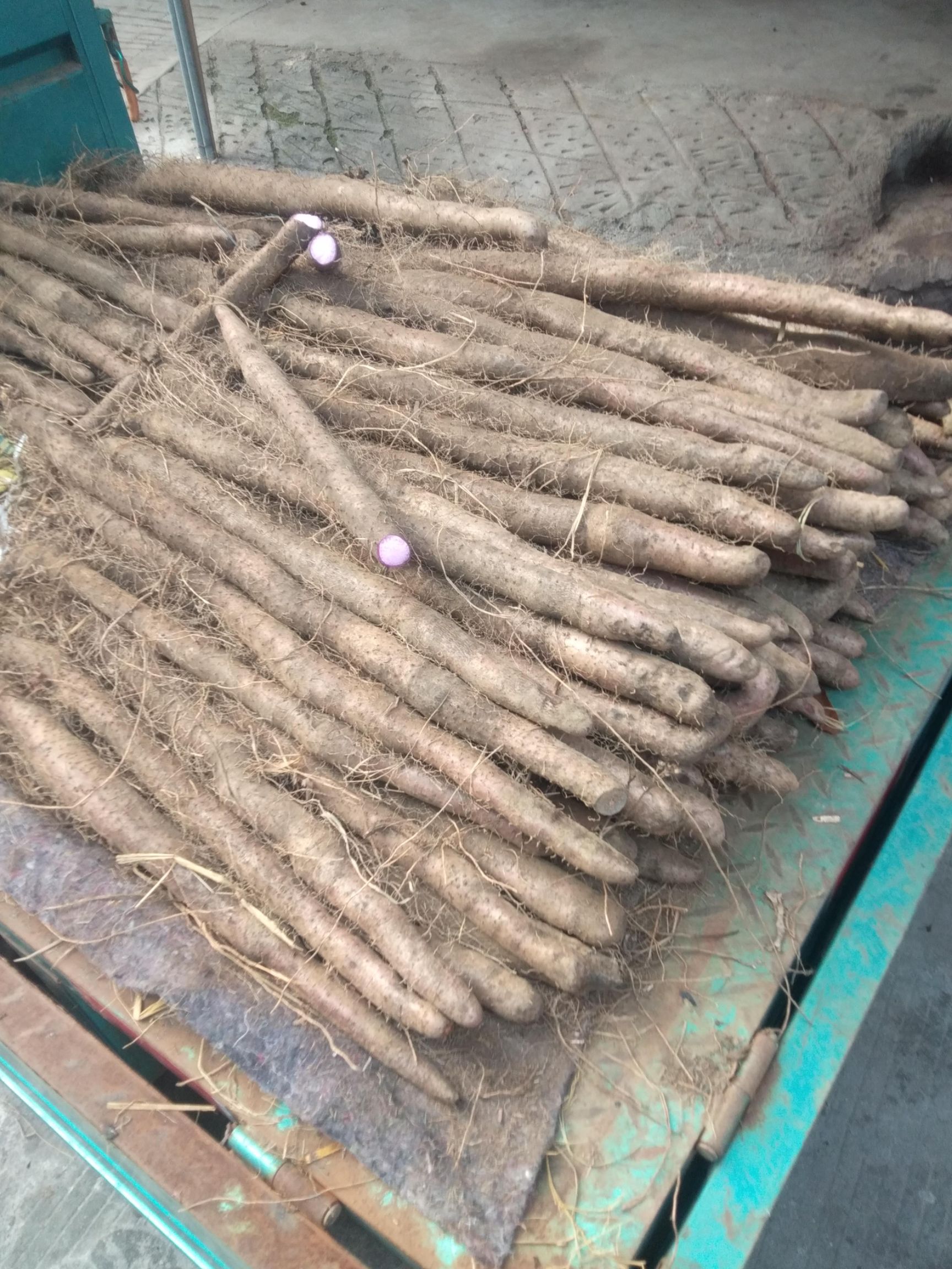 细叶紫山药，粉质靓，味道香糯，品质好