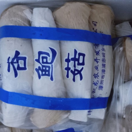 漳州白金针菇 杏鲍菇