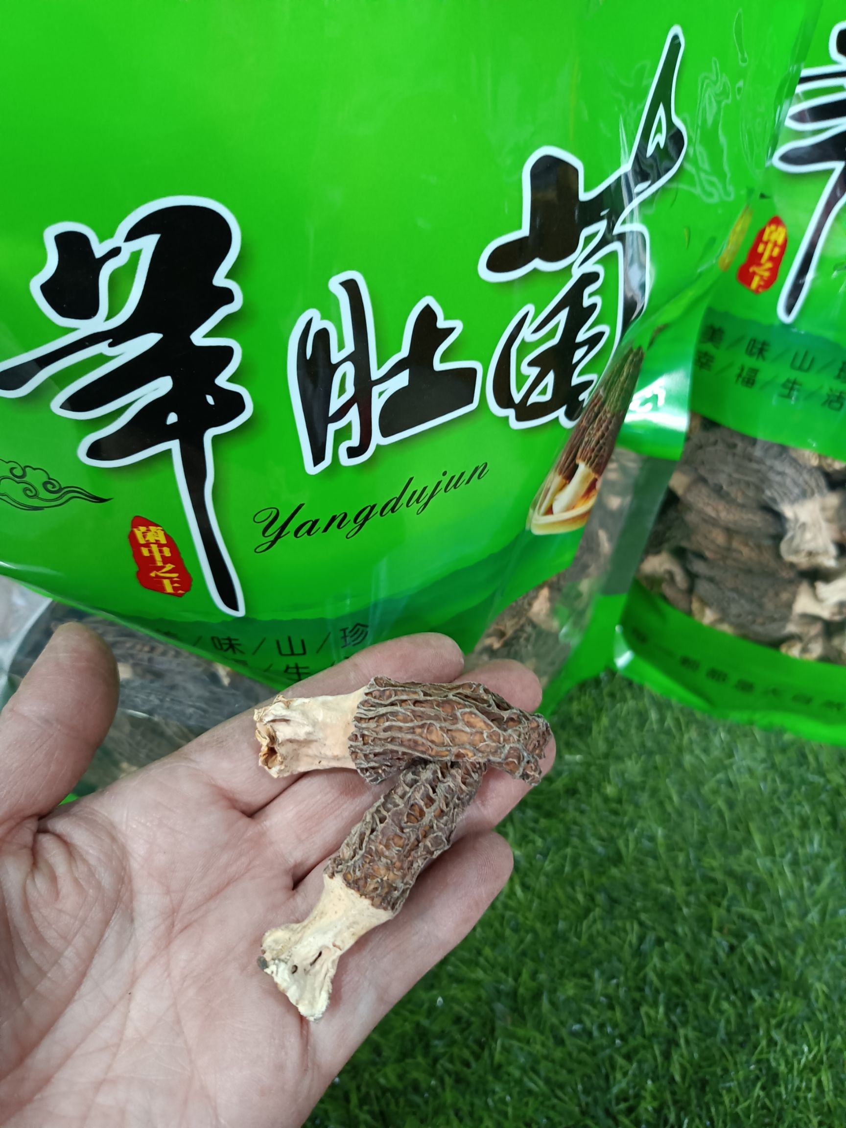  长白山土特产东北羊肚菌，可炖鸡，炖汤，本地发货