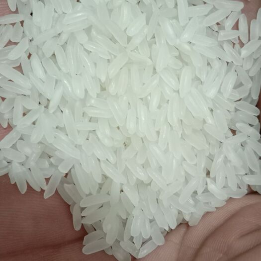 凤阳县长粒香  丰良优优质精米，米质油青煮饭口感柔软。