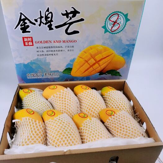 海口海南三亚精品金煌芒大果芒果水仙芒大青芒