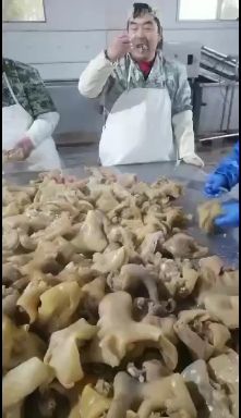  牛蹄去骨全熟，牛半蹄带筋