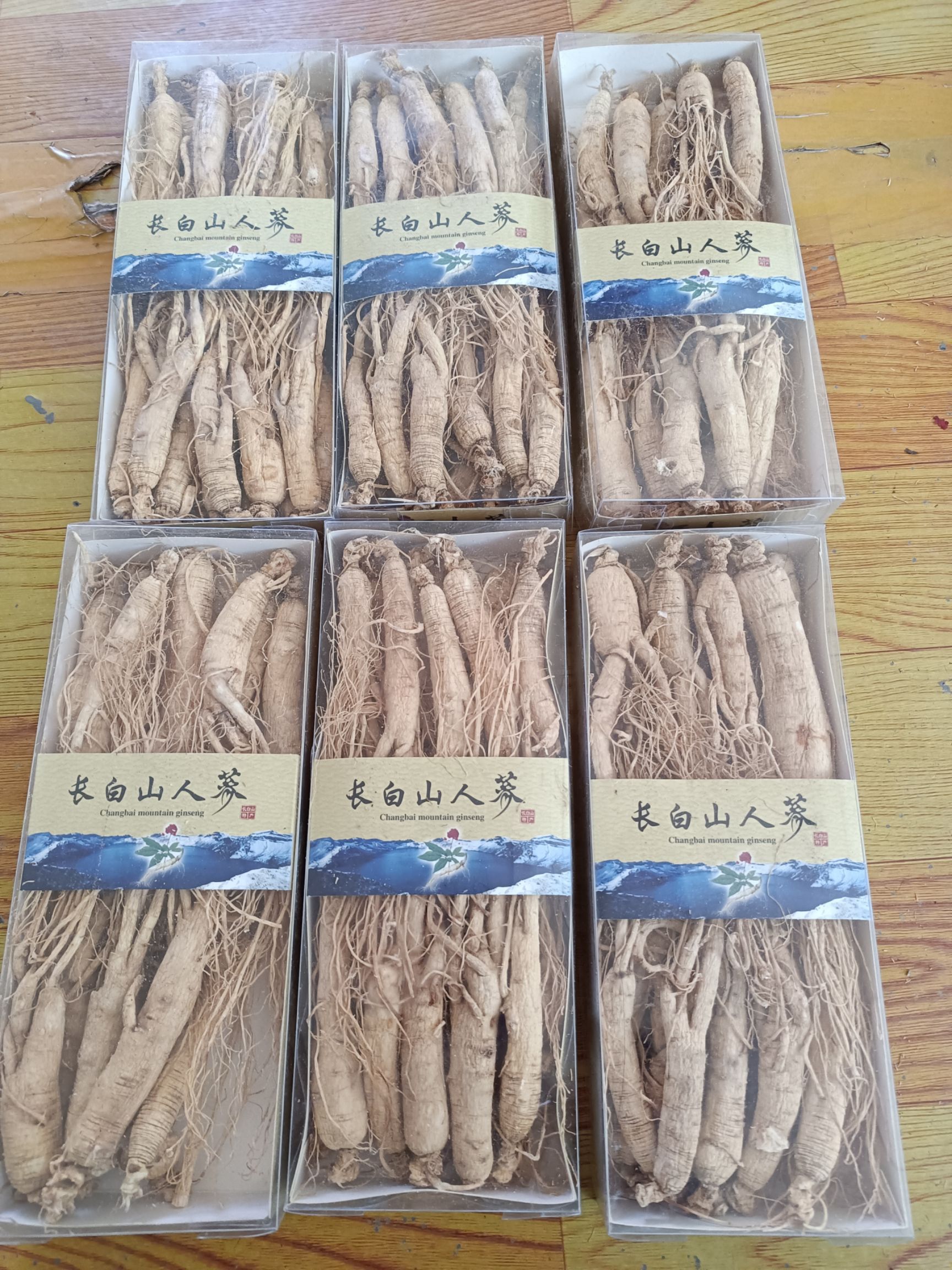 白参 长白山人参特产批发零售，.炖鸡煲汤，各种规格，本地发货。