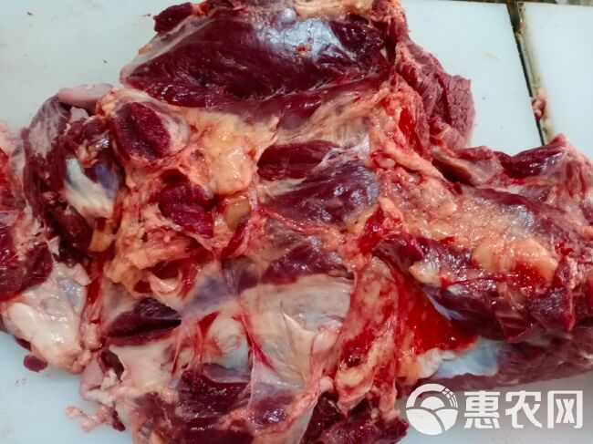 去皮去骨新鲜马肉，牧场产地，检验合格，健康美味