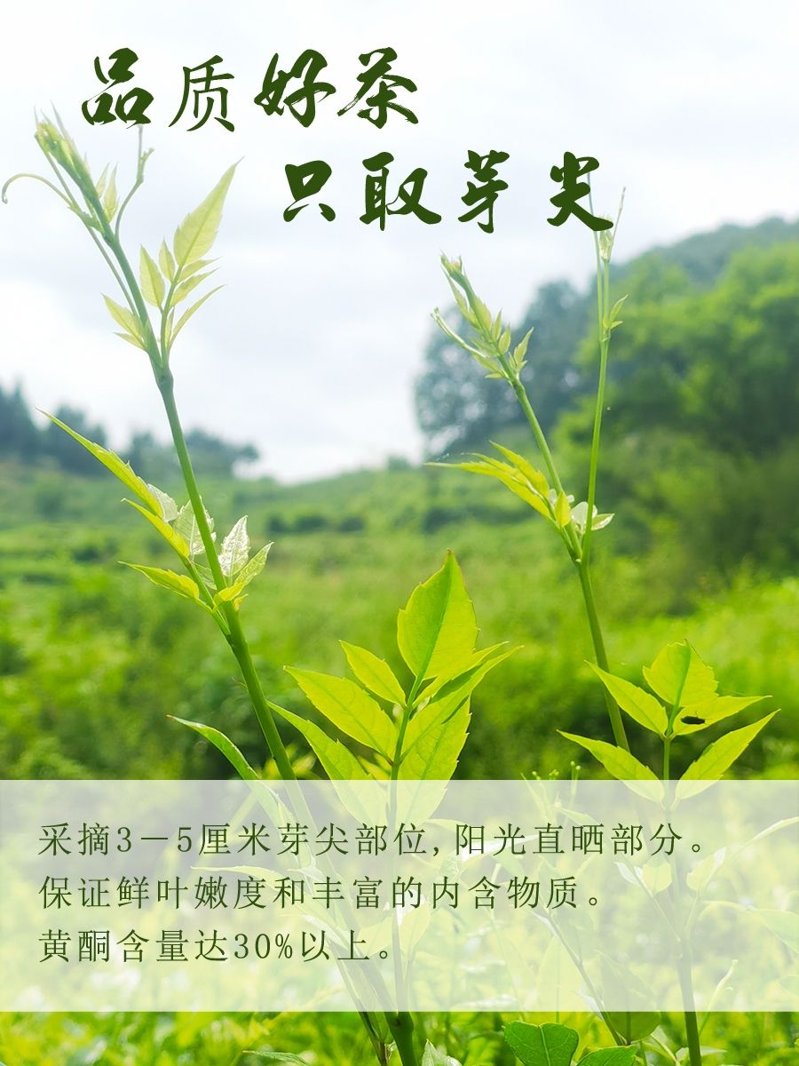 新白茶  莓茶 500g茅岩霉茶土家神茶芽尖龙须霉茶藤茶包邮