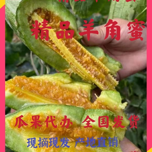 潍坊羊角蜜甜瓜大量供应中产地直销无中间商差价