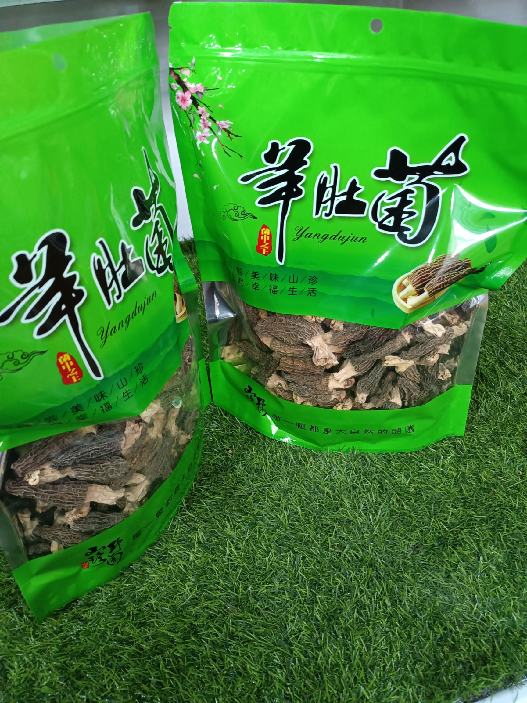  长白山土特产东北羊肚菌，可炖鸡，炖汤，本地发货