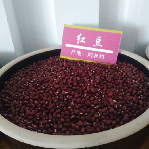 崇信县高雄6号红豆 红豆