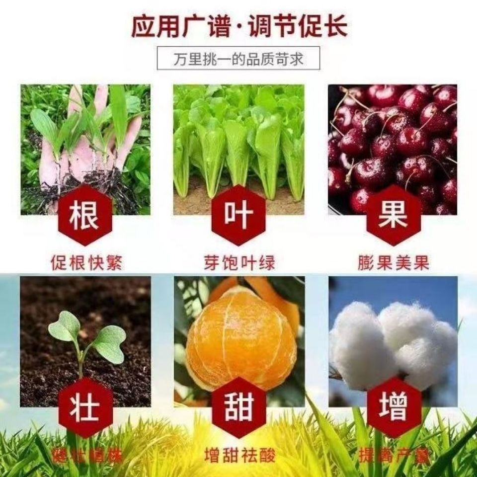 复合肥磷酸二氢钾 花肥 叶面肥 磷肥 钾肥 全水溶99含量