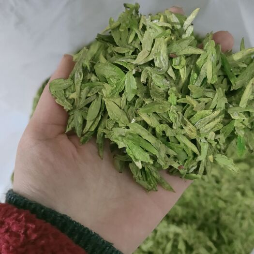 新昌县昌产本地绿茶乌牛早批发
