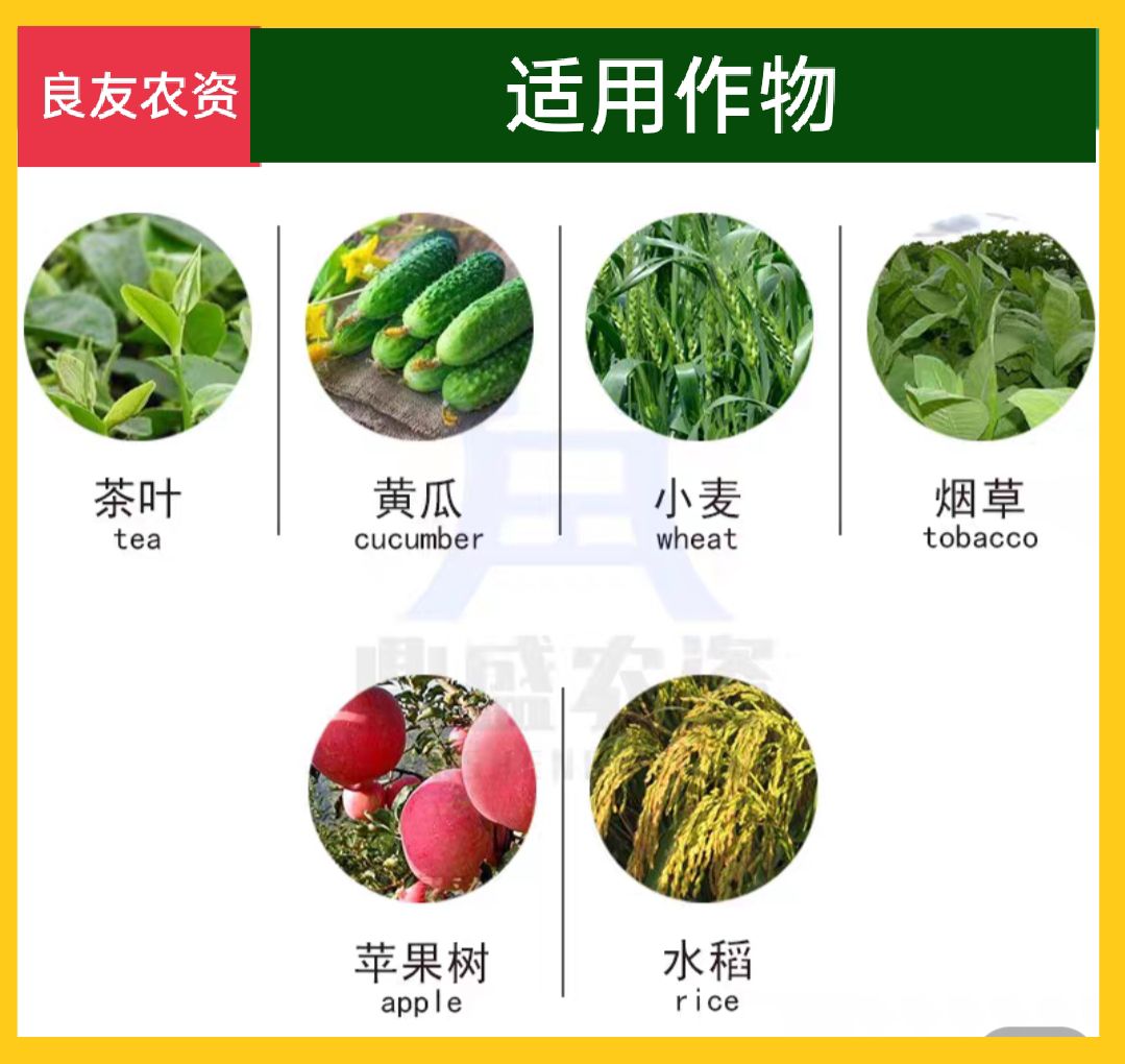 德国植物生长调节剂“碧护”