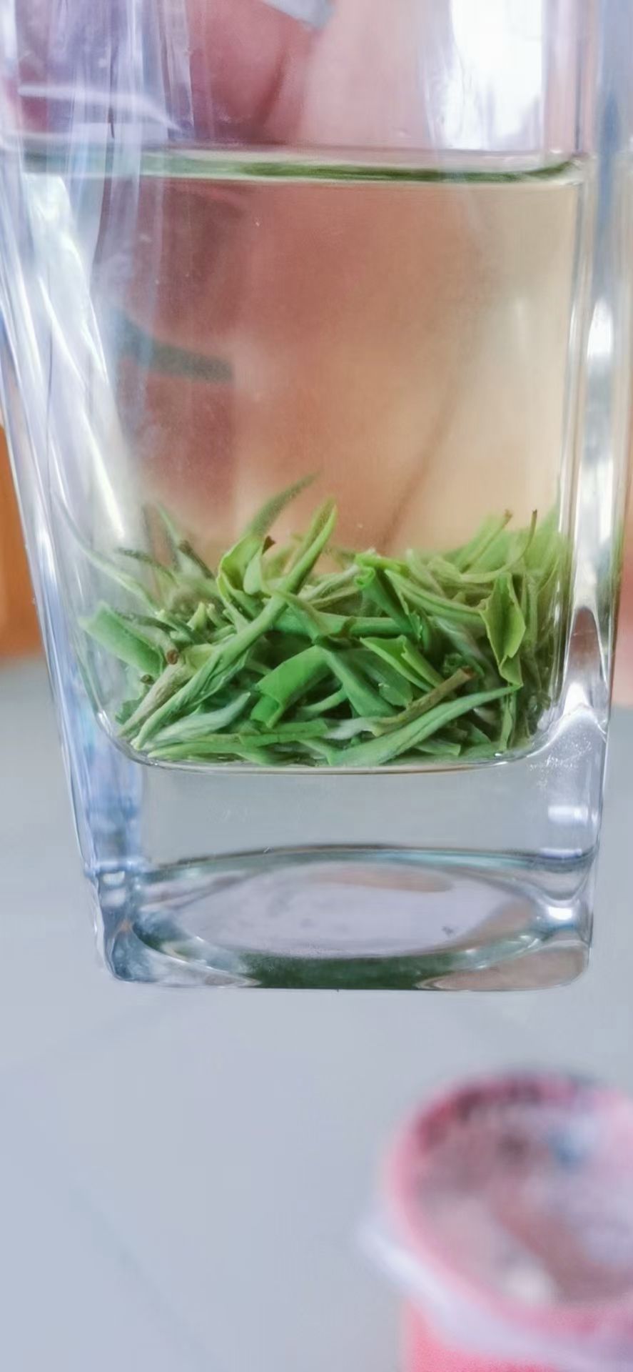 毛尖茶 三峡高山茅尖