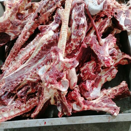 宁津县鲜马肉 新鲜马蠍子全套肉多质好一首货源