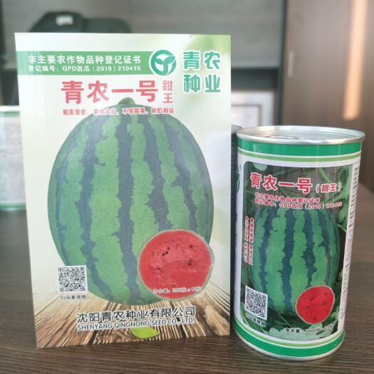 保定甜王西瓜种子 【青农一号甜王】正宗中早熟大果型甜王