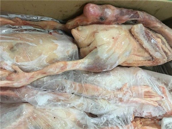 重庆市肉鹅 冷冻白条鹅肉